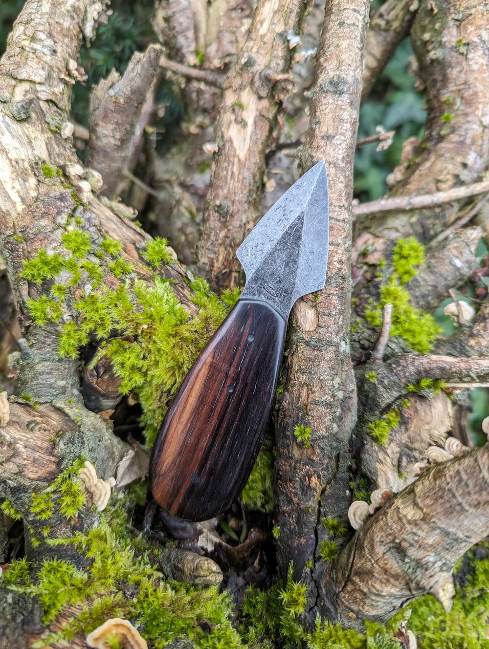 Lance à huîtres artisanal bois de fer – Atelier sous l’éclipse