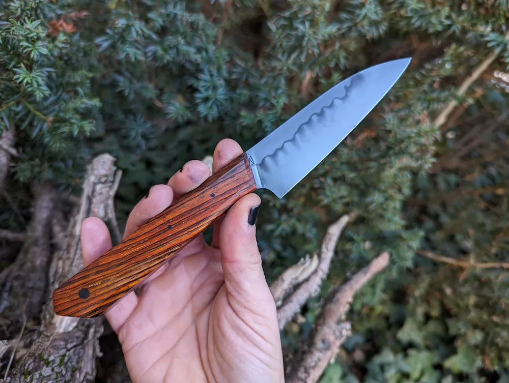 Couteau artisanal Petty hamon cocobolo détail – Atelier sous l’éclipse